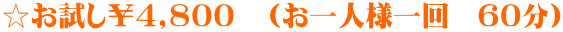 ☆お試し￥4,800　（お一人様一回　60分）